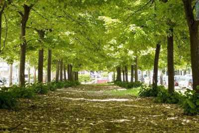 Strade strette, colori caldi, verde ovunque: � il "villaggio" di Poggiofranco bassa